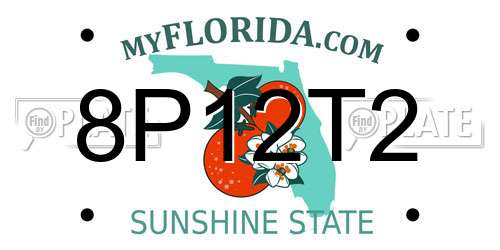 8P12T2 Florida License Plate