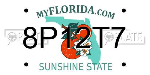 8P12T7 Florida License Plate