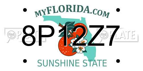 8P12Z7 Florida License Plate