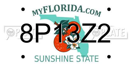 8P13Z2 Florida License Plate