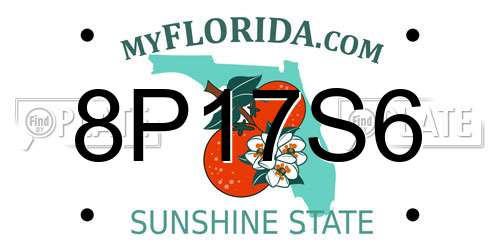 8P17S6 Florida License Plate