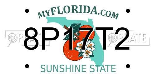 8P17T2 Florida License Plate