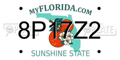 8P17Z2 Florida License Plate