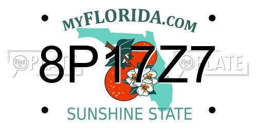 8P17Z7 Florida License Plate