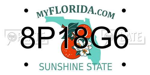 8P18G6 Florida License Plate