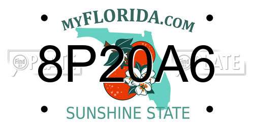 8P20A6 Florida License Plate