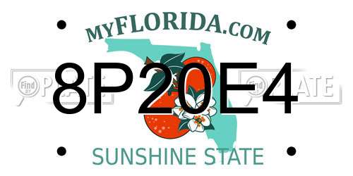 8P20E4 Florida License Plate