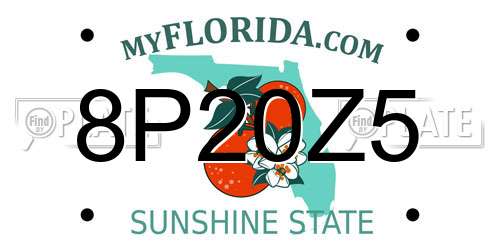 8P20Z5 Florida License Plate