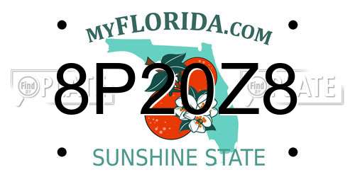 8P20Z8 Florida License Plate