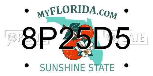 8P25D5 Florida License Plate
