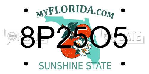 8P25O5 Florida License Plate
