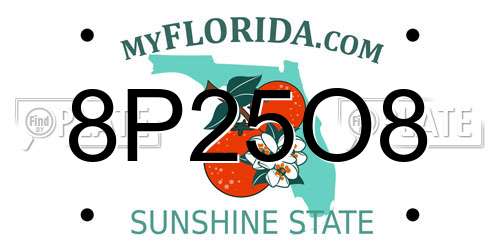 8P25O8 Florida License Plate