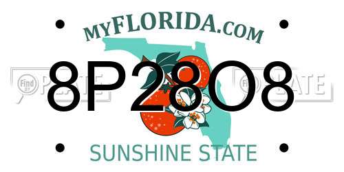 8P28O8 Florida License Plate