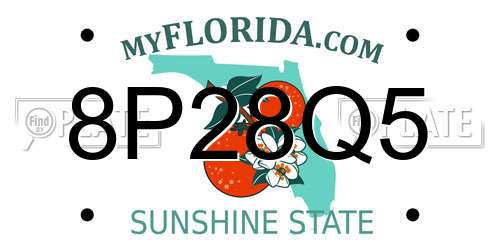 8P28Q5 Florida License Plate