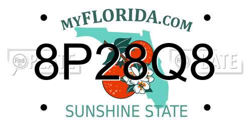 8P28Q8 Florida License Plate