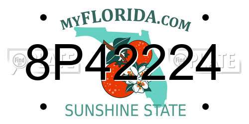 8P42224 Florida License Plate