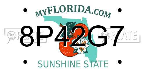 8P42G7 Florida License Plate