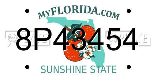 8P43454 Florida License Plate