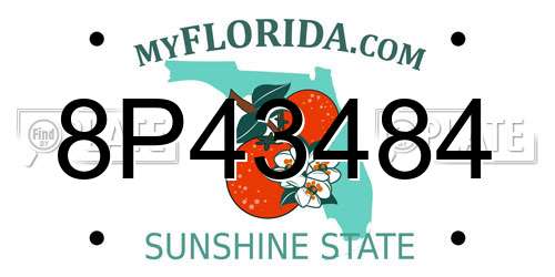 8P43484 Florida License Plate