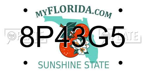 8P43G5 Florida License Plate
