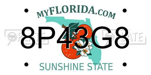 8P43G8 Florida License Plate