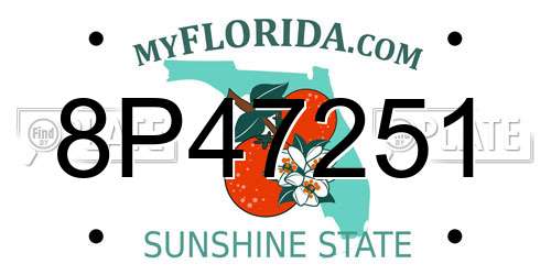 8P47251 Florida License Plate
