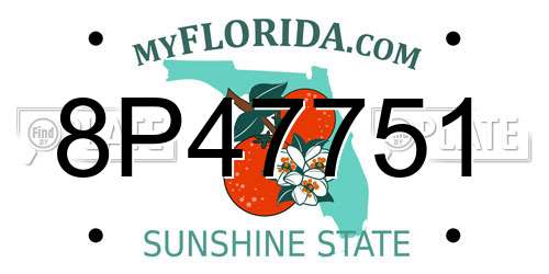 8P47751 Florida License Plate