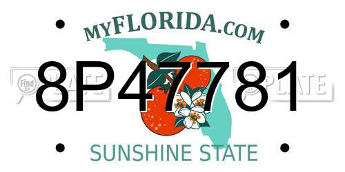 8P47781 Florida License Plate