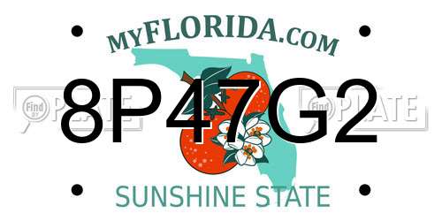 8P47G2 Florida License Plate