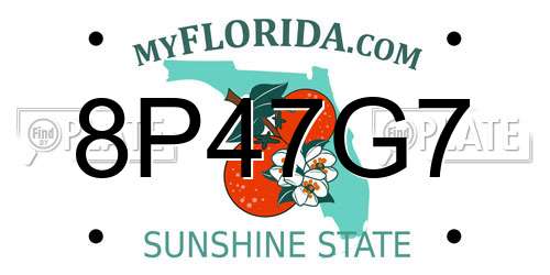 8P47G7 Florida License Plate