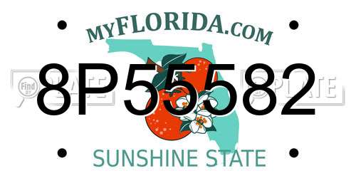 8P55582 Florida License Plate