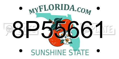 8P55661 Florida License Plate