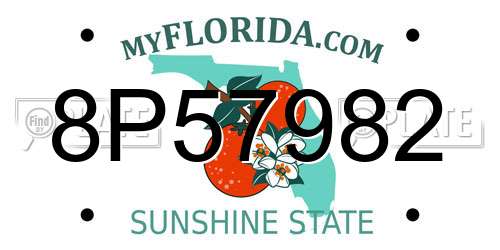 8P57982 Florida License Plate