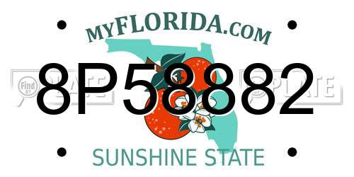 8P58882 Florida License Plate