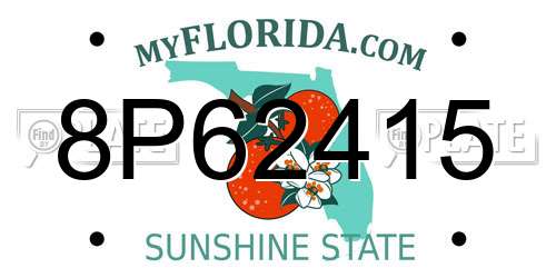 8P62415 Florida License Plate