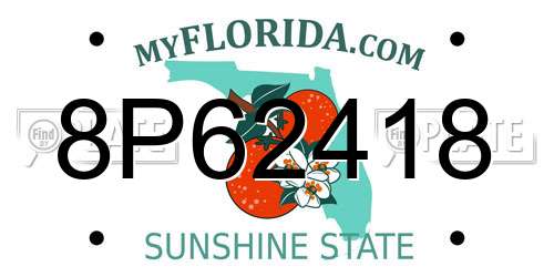 8P62418 Florida License Plate