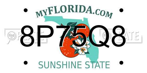 8P75Q8 Florida License Plate