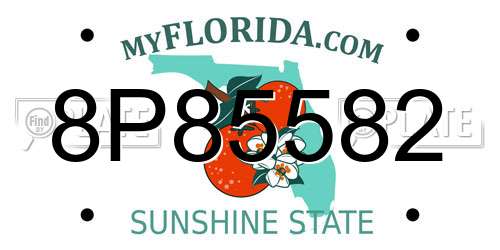 8P85582 Florida License Plate