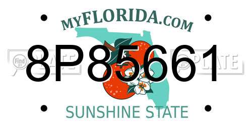 8P85661 Florida License Plate