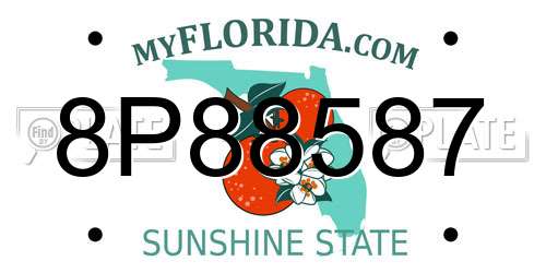 8P88587 Florida License Plate