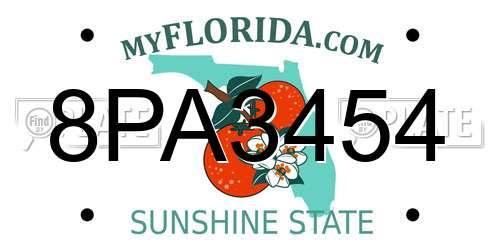 8PA3454 Florida License Plate