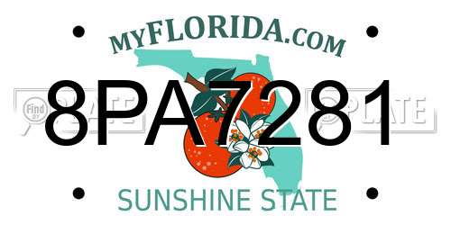 8PA7281 Florida License Plate