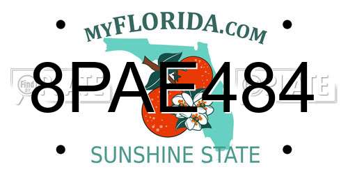 8PAE484 Florida License Plate