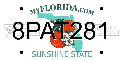 8PAT281 Florida License Plate