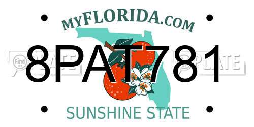 8PAT781 Florida License Plate