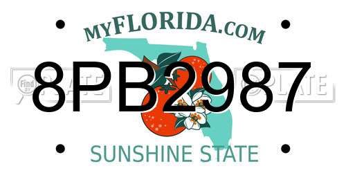 8PB2987 Florida License Plate
