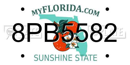 8PB5582 Florida License Plate