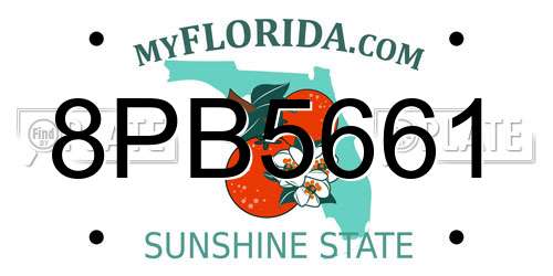 8PB5661 Florida License Plate