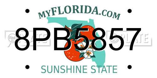 8PB5857 Florida License Plate