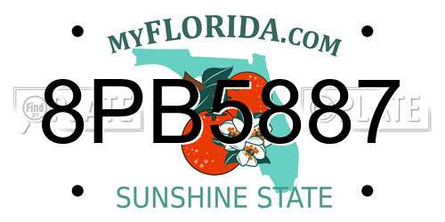 8PB5887 Florida License Plate